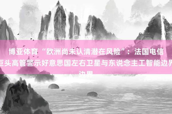 博亚体育 “欧洲尚未认清潜在风险”：法国电信巨头高管警示好意思国左右卫星与东说念主工智能边界
