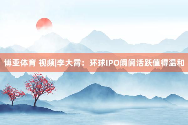 博亚体育 视频|李大霄：环球IPO阛阓活跃值得温和