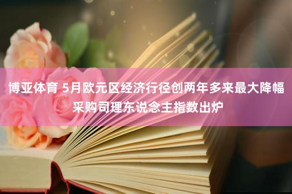 博亚体育 5月欧元区经济行径创两年多来最大降幅 采购司理东说念主指数出炉