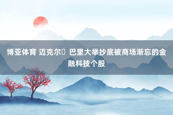 博亚体育 迈克尔・巴里大举抄底被商场渐忘的金融科技个股