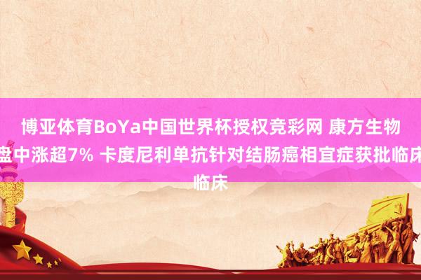 博亚体育2026世界杯中国官网 好意思格智能午前涨超4% 认真开启77TOPS AI模组大范畴量产委用