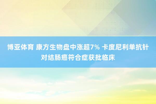 博亚体育 康方生物盘中涨超7% 卡度尼利单抗针对结肠癌符合症获批临床