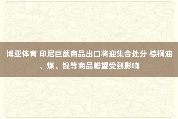 博亚体育 印尼巨额商品出口将迎集合处分 棕榈油、煤、镍等商品瞻望受到影响