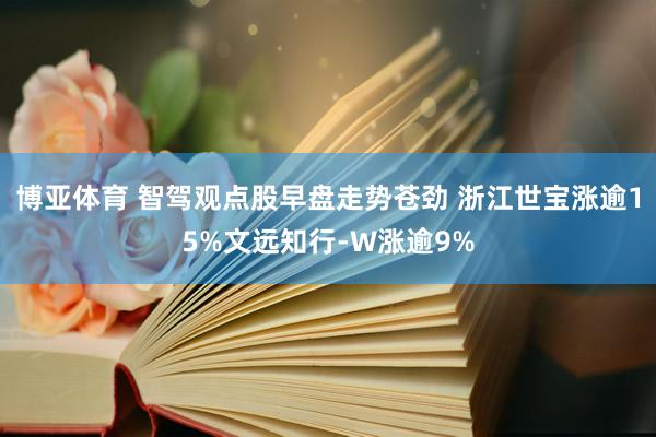 博亚体育 智驾观点股早盘走势苍劲 浙江世宝涨逾15%文远知行-W涨逾9%