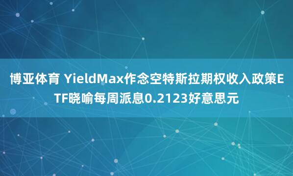博亚体育 YieldMax作念空特斯拉期权收入政策ETF晓喻每周派息0.2123好意思元