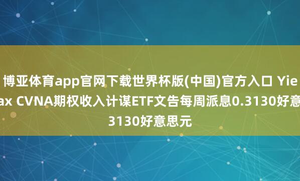 博亚体育app官网下载世界杯版(中国)官方入口 YieldMax CVNA期权收入计谋ETF文告每周派息0.3130好意思元