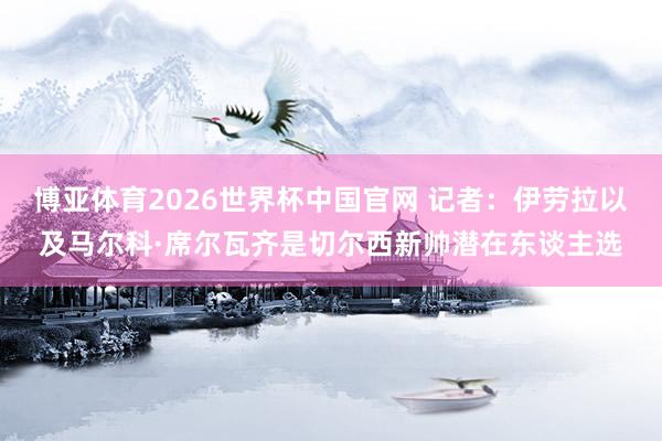 博亚体育2026世界杯中国官网 记者：伊劳拉以及马尔科·席尔瓦齐是切尔西新帅潜在东谈主选