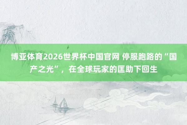 博亚体育2026世界杯中国官网 停服跑路的“国产之光”，在全球玩家的匡助下回生