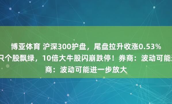 博亚体育 沪深300护盘，尾盘拉升收涨0.53%；超4000只个股飘绿，10倍大牛股闪崩跌停！券商：波动可能进一步放大