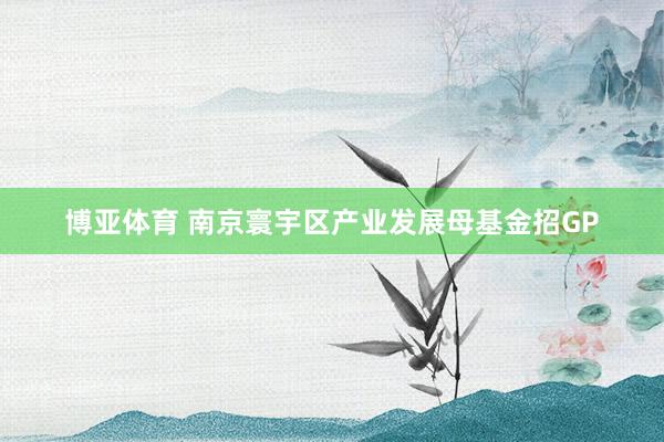博亚体育 南京寰宇区产业发展母基金招GP