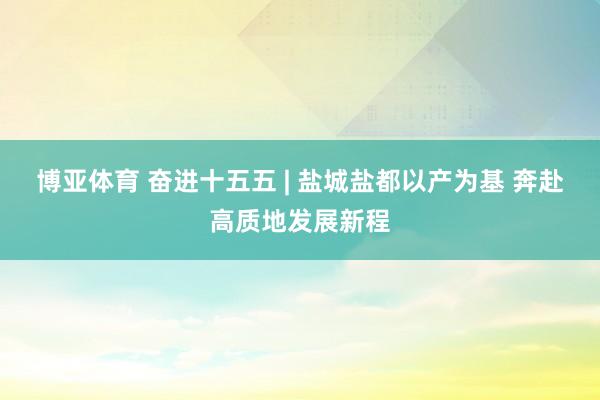 博亚体育 奋进十五五 | 盐城盐都以产为基 奔赴高质地发展新程
