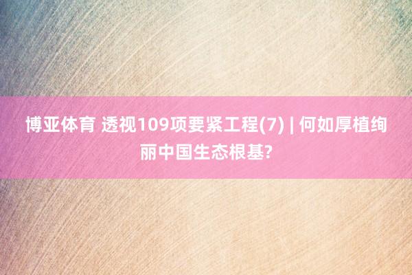 博亚体育 透视109项要紧工程(7) | 何如厚植绚丽中国生态根基?
