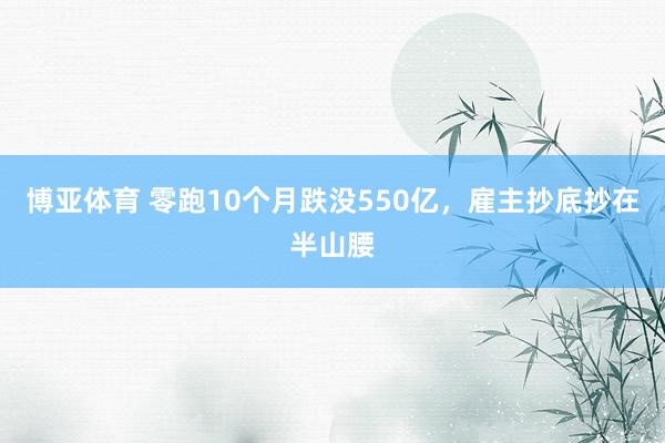 博亚体育 零跑10个月跌没550亿，雇主抄底抄在半山腰