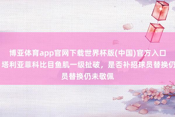 博亚体育app官网下载世界杯版(中国)官方入口 记者：塔利亚菲科比目鱼肌一级扯破，是否补招球员替换仍未敬佩