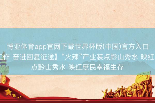 博亚体育app官网下载世界杯版(中国)官方入口 【铭刻初心工作 奋进回复征途】“火辣”产业装点黔山秀水 映红庶民幸福生存