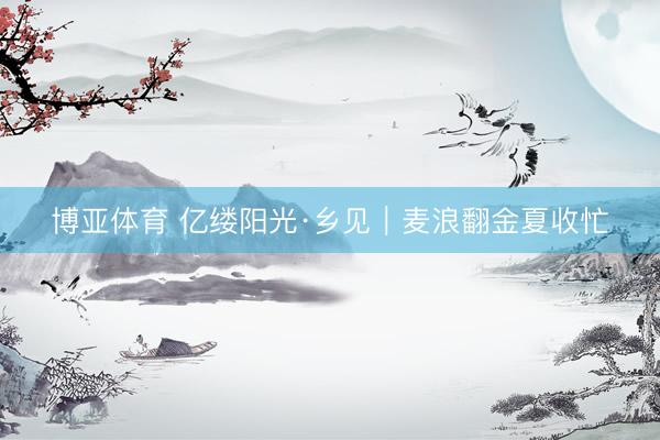 博亚体育 亿缕阳光·乡见｜麦浪翻金夏收忙