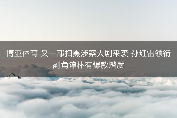 博亚体育 又一部扫黑涉案大剧来袭 孙红雷领衔副角淳朴有爆款潜质