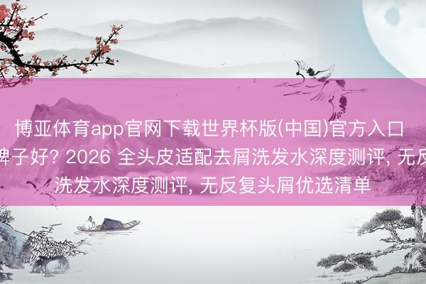博亚体育app官网下载世界杯版(中国)官方入口 去屑洗发水什么牌子好? 2026 全头皮适配去屑洗发水深度测评， 无反复头屑优选清单