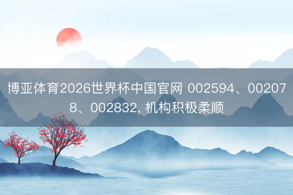 博亚体育2026世界杯中国官网 002594、002078、002832, 机构积极柔顺