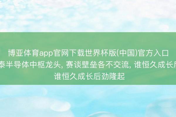 博亚体育app官网下载世界杯版(中国)官方入口 清点十泰半导体中枢龙头, 赛谈壁垒各不交流, 谁恒久成长后劲隆起